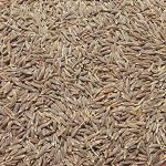 cumin-seeds