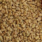 fenugreek