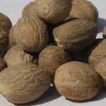 nutmeg-whole