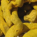 turmeric-fingers