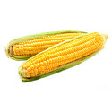 image099