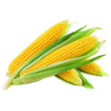 image101
